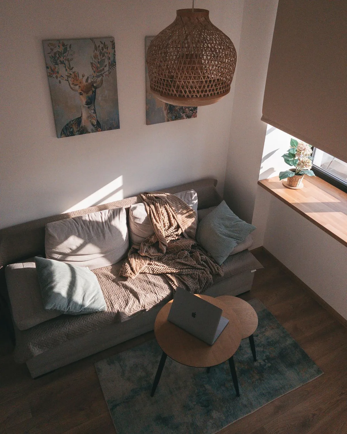 A compact living area with a sofa and laptop on a coffee table